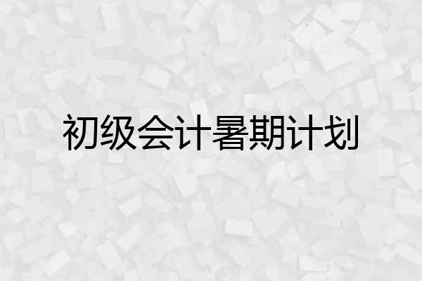初级会计暑期计划