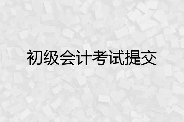初级会计考试提交