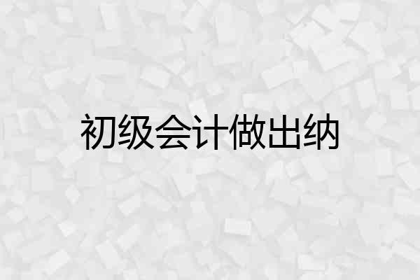 初级会计做出纳