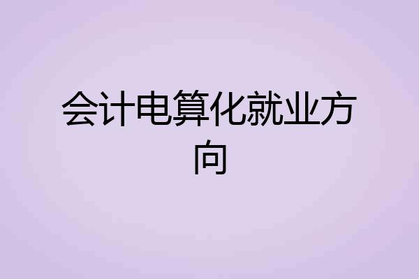 会计电算化就业方向