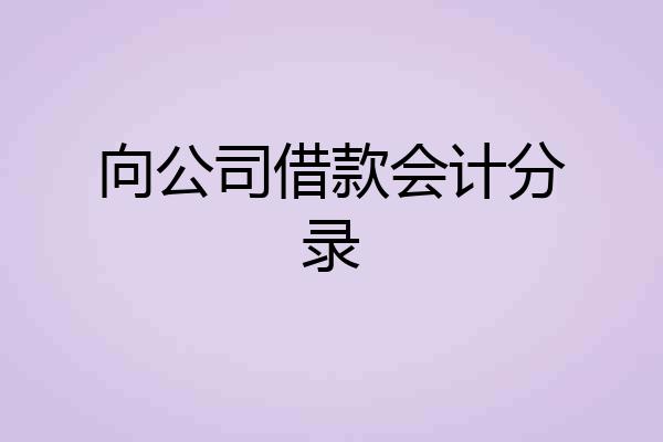 向公司借款会计分录