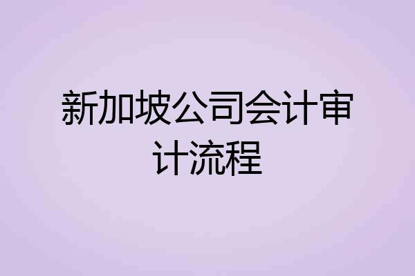 新加坡公司会计审计流程