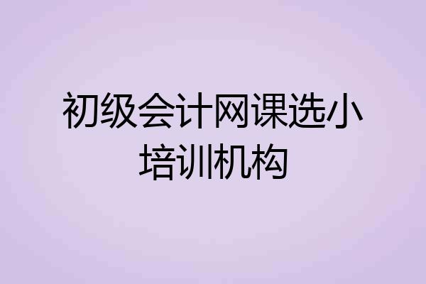 初级会计网课选小培训机构
