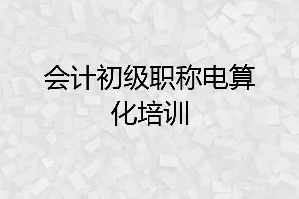 会计初级职称电算化培训