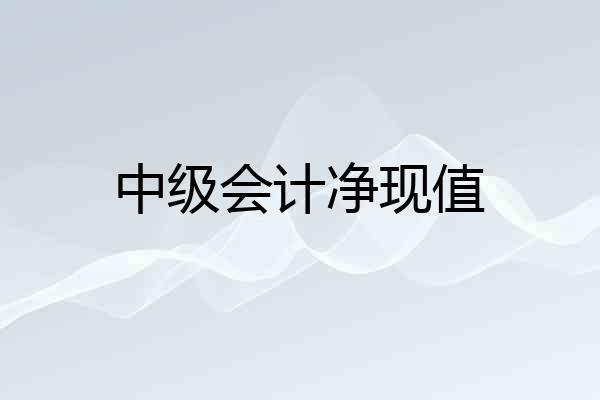 中级会计净现值