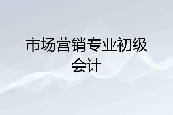 市场营销专业初级会计