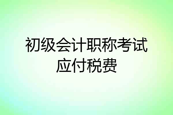 初级会计职称考试应付税费