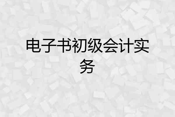 电子书初级会计实务