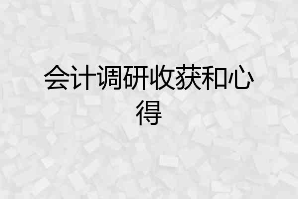 会计调研收获和心得