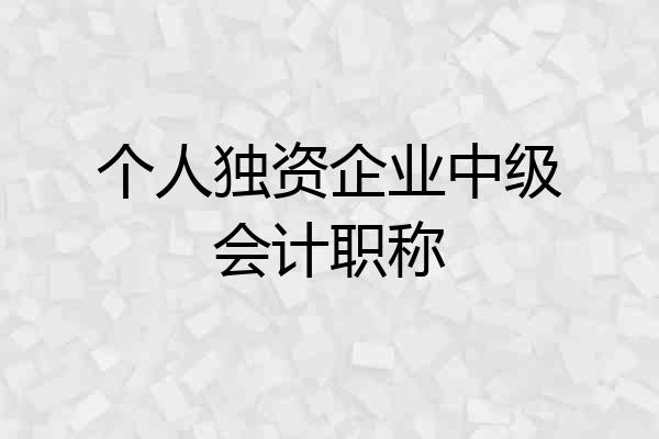 个人独资企业中级会计职称