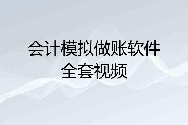 会计模拟做账软件全套视频