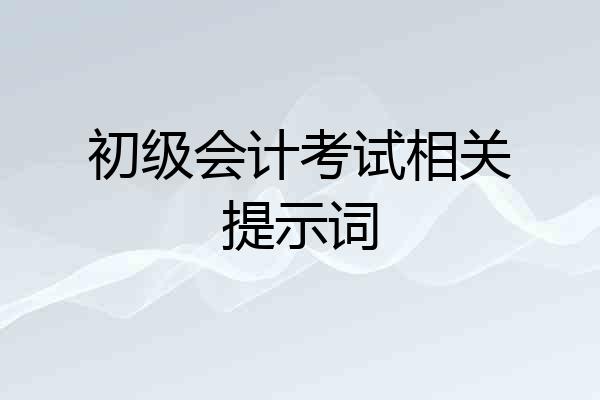 初级会计考试相关提示词