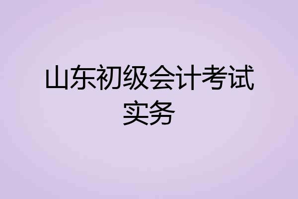 山东初级会计考试实务