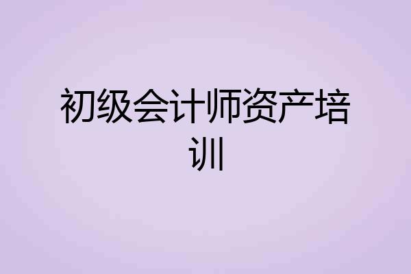 初级会计师资产培训