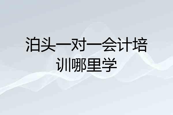 泊头一对一会计培训哪里学