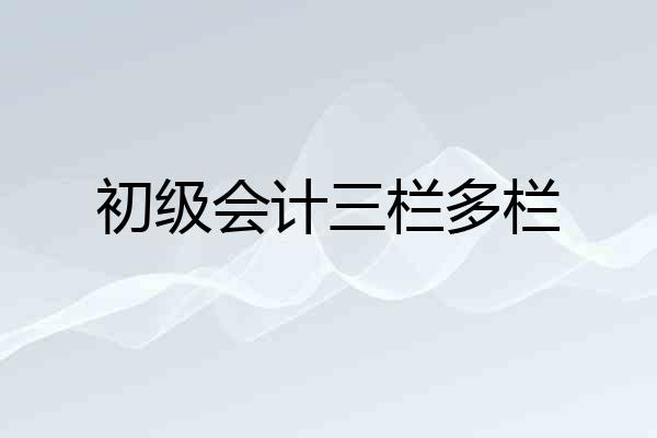 初级会计三栏多栏