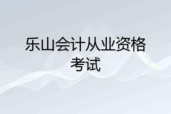 乐山会计从业资格考试