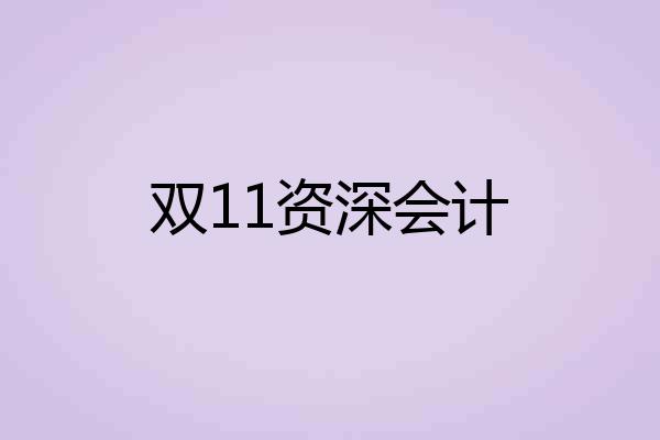 双11资深会计