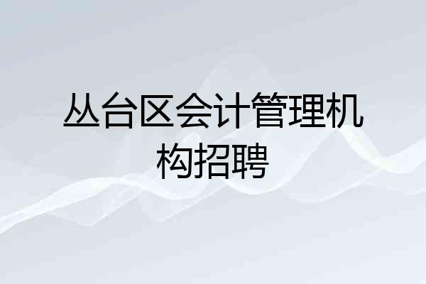 丛台区会计管理机构招聘