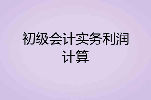 初级会计实务利润计算