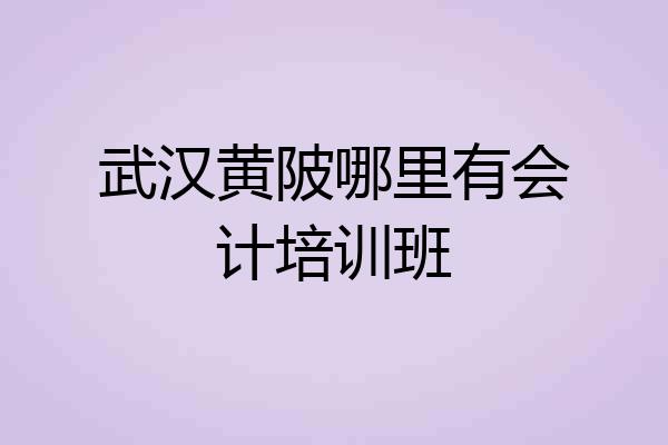 武汉黄陂哪里有会计培训班