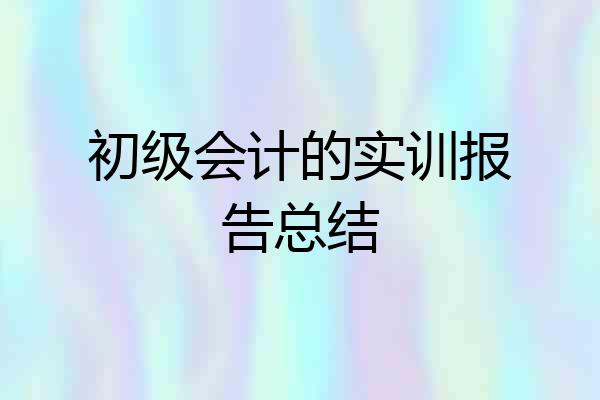 初级会计的实训报告总结