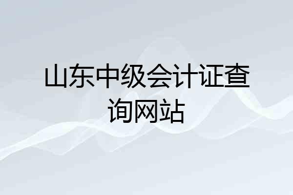 山东中级会计证查询网站