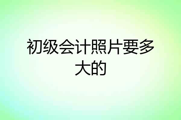初级会计照片要多大的