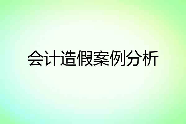 会计造假案例分析