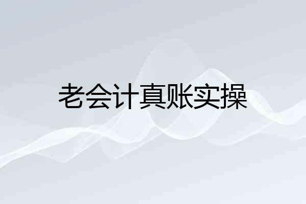 老会计真账实操