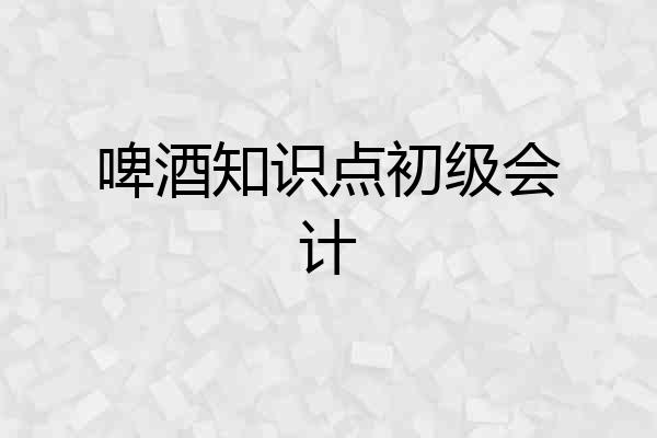 啤酒知识点初级会计