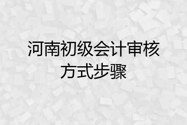 河南初级会计审核方式步骤