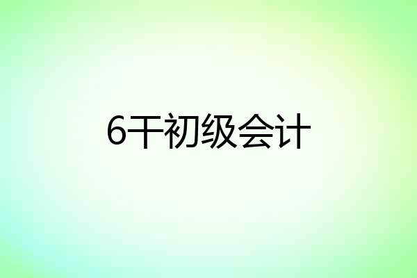 6干初级会计
