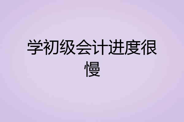 学初级会计进度很慢