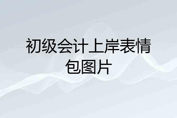 初级会计上岸表情包图片
