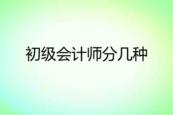 初级会计师分几种