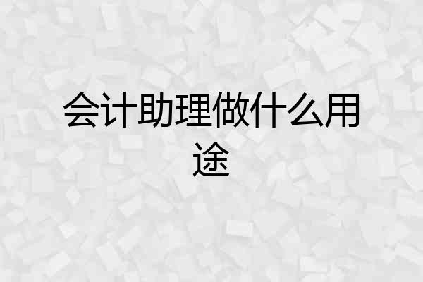 会计助理做什么用途