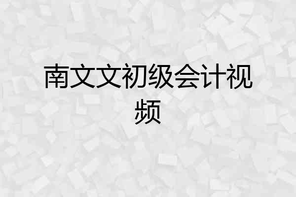 南文文初级会计视频