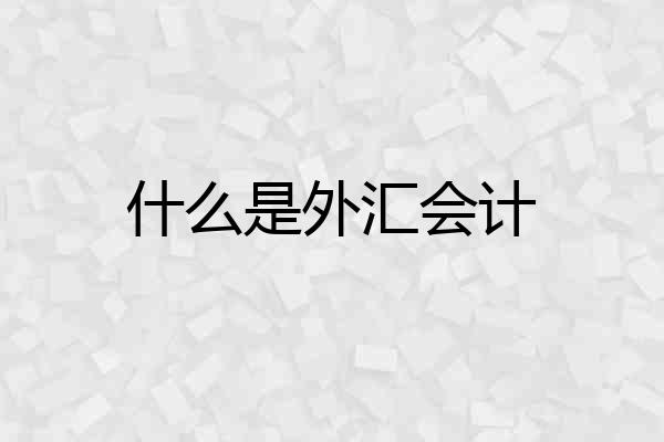 什么是外汇会计