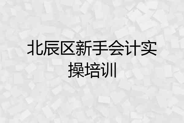 北辰区新手会计实操培训