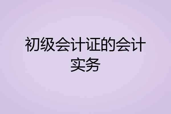 初级会计证的会计实务