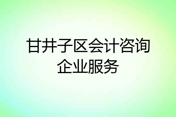 甘井子区会计咨询企业服务