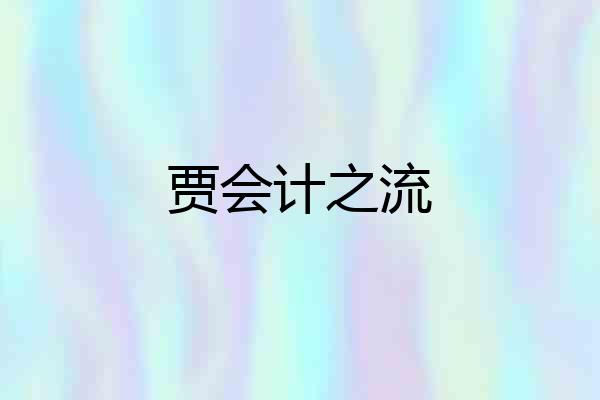 贾会计之流