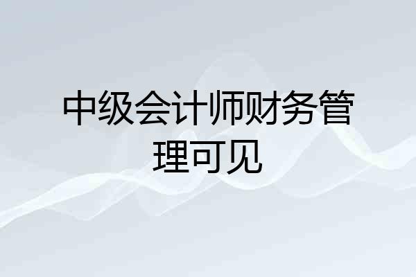 中级会计师财务管理可见