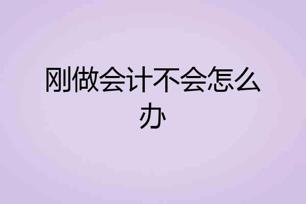刚做会计不会怎么办