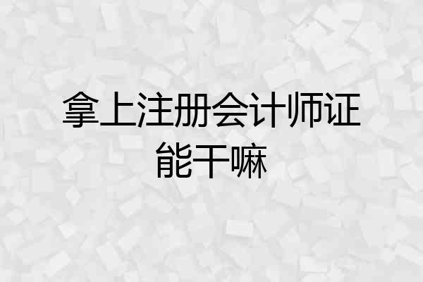 拿上注册会计师证能干嘛