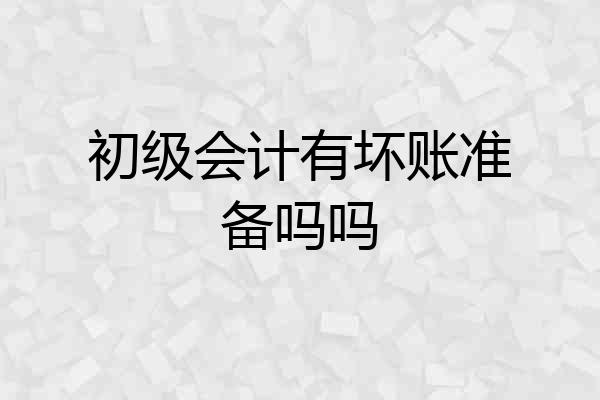 初级会计有坏账准备吗吗