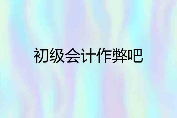 初级会计作弊吧
