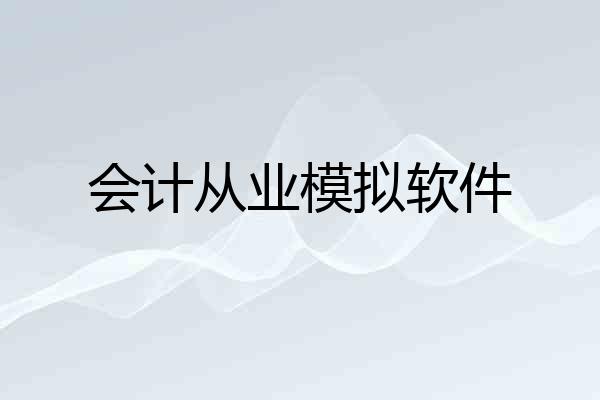 会计从业模拟软件