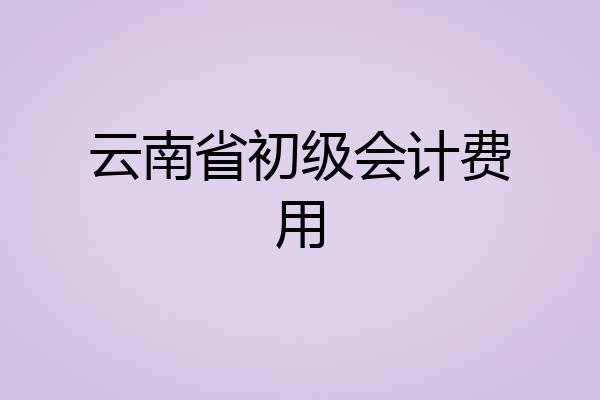 云南省初级会计费用